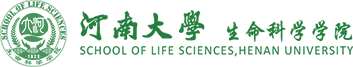 英国正版365官方网站